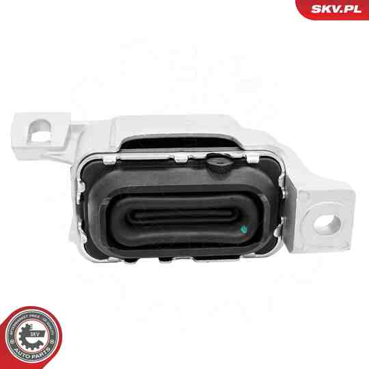 75SKV219 - Mounting, engine 