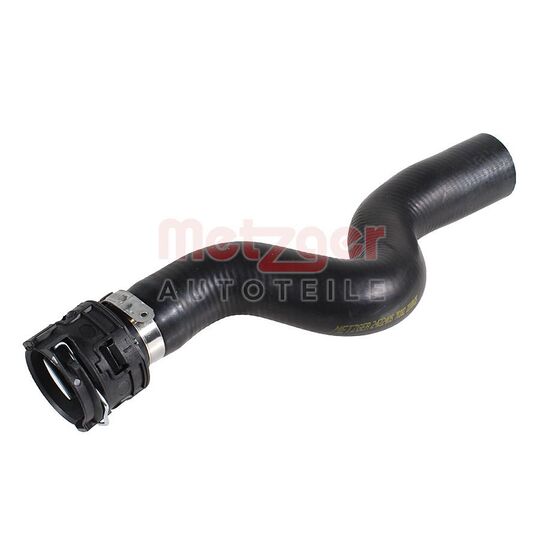 Radiator Hose