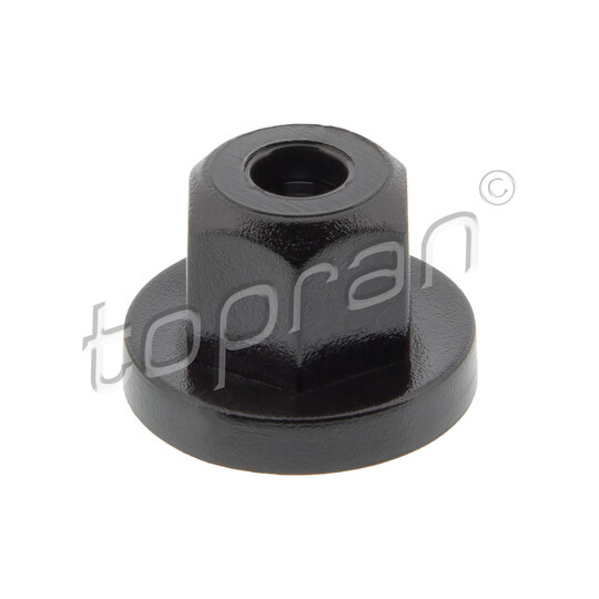 Clip, trim/protective strip