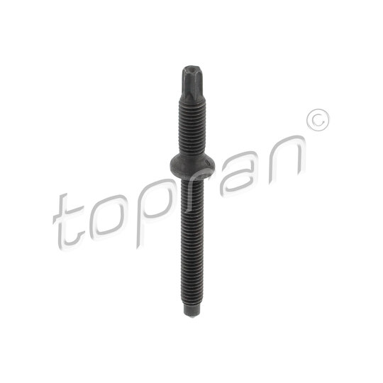 Screw, injection nozzle holder
