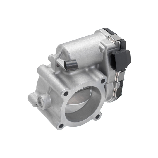 Throttle body