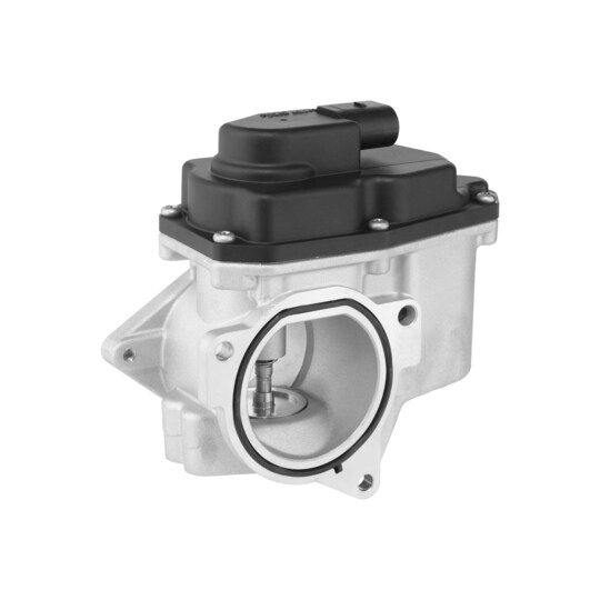 711080D - EGR Valve 
