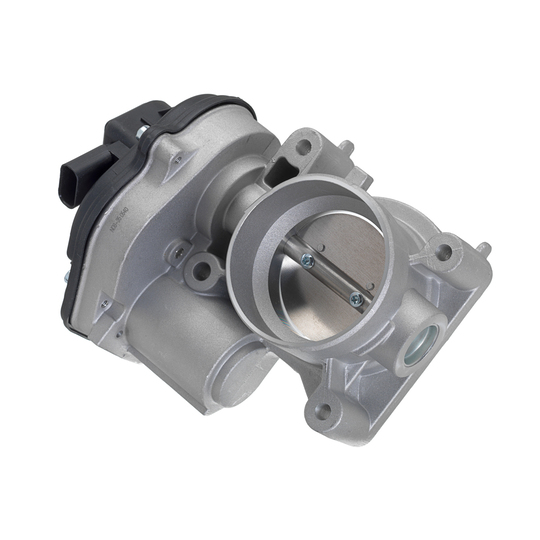 Throttle body