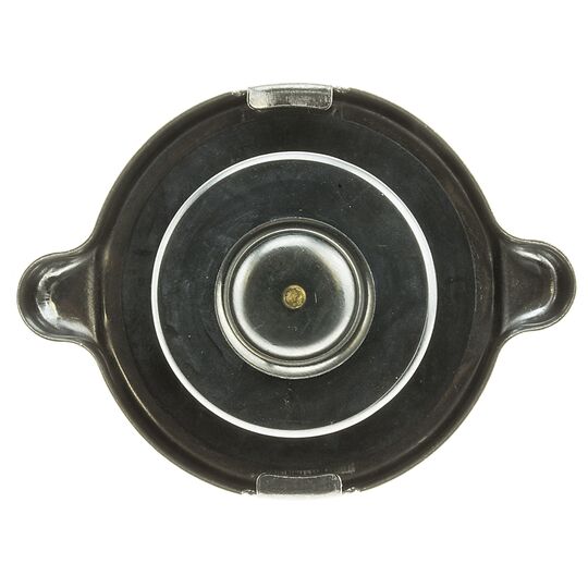T20 - Cap, coolant tank 