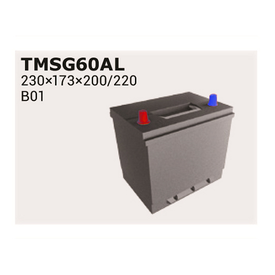Starter Battery