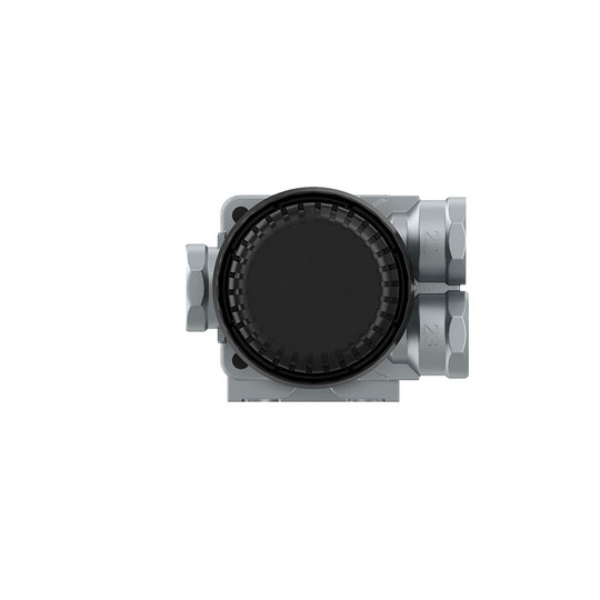 973 500 059 0 - Quick Release Valve 