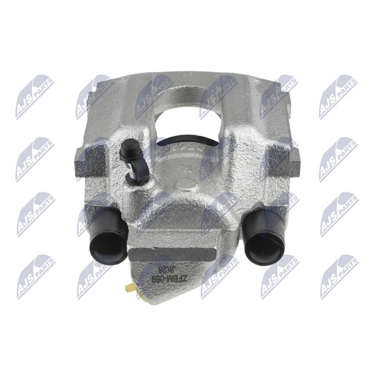 HZT-BM-059 - Jarrusatula 