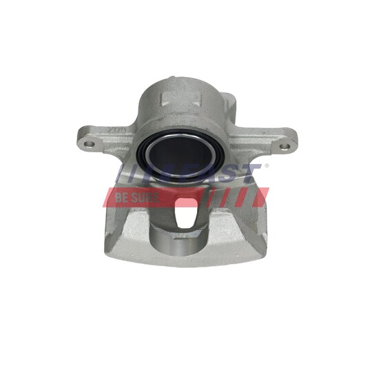 FT02655 - Jarrusatula 