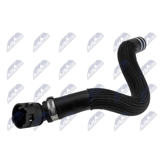 Radiator Hose