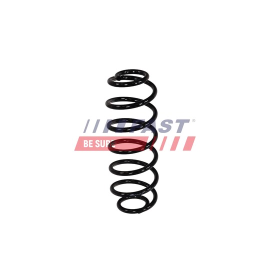 FT01993 - Suspension Spring 