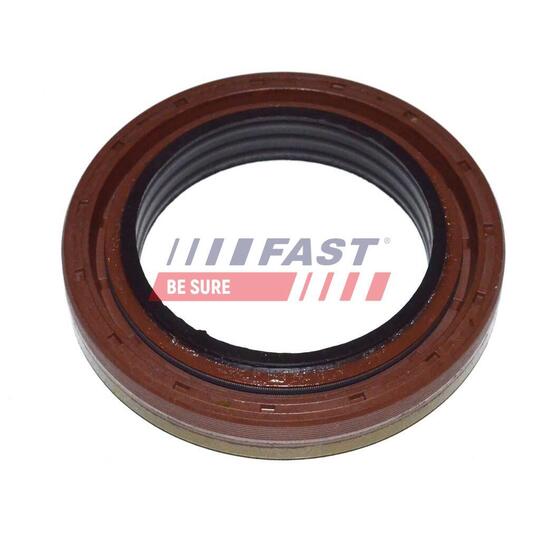Fuel Drain Plug