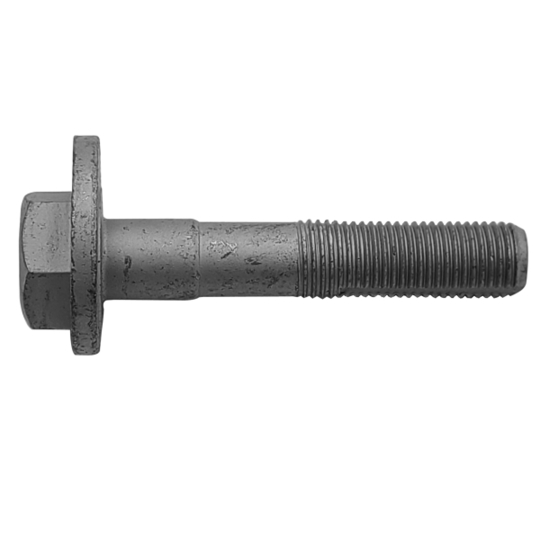 Camber Correction Screw