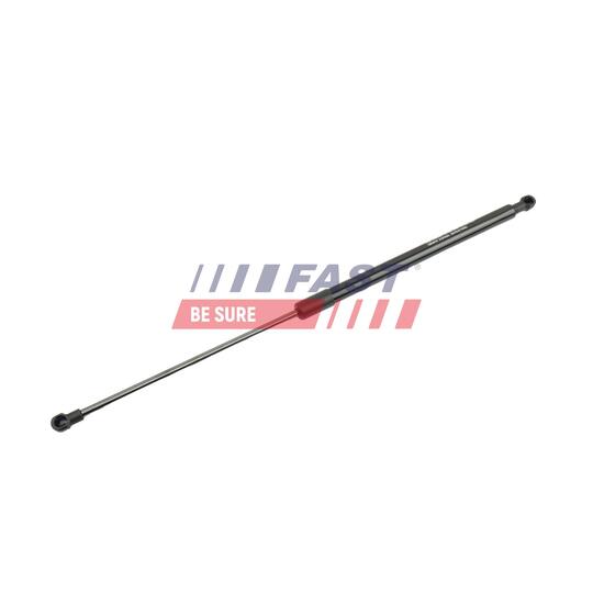 FT00193 - Gas Spring, boot/cargo area 
