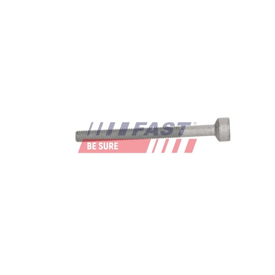 FT12962 - Screw, injection nozzle holder 