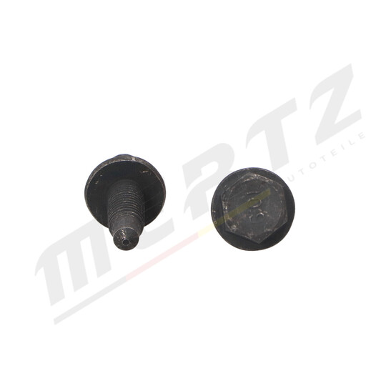 M-S0190 - Pallonivel 