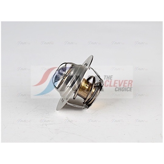 RTTS005 - Thermostat, coolant 