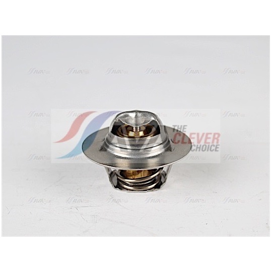 RTTS005 - Thermostat, coolant 