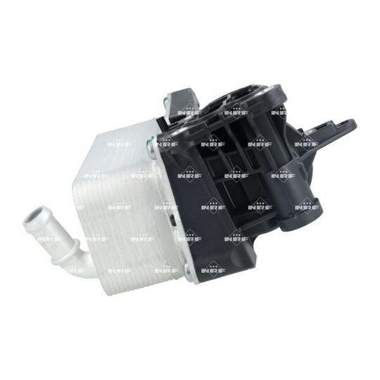 310079 - Oil Cooler, automatic transmission 