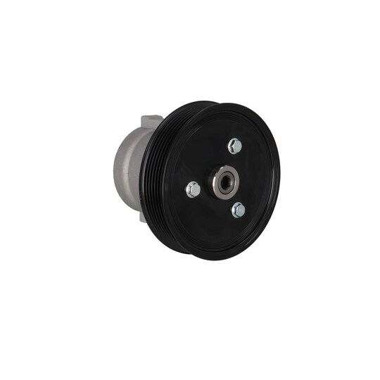 PP254 - Hydraulic Pump, steering system 