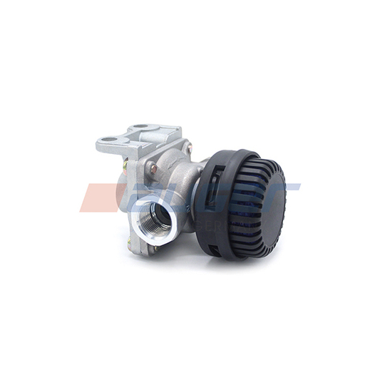 Quick Release Valve