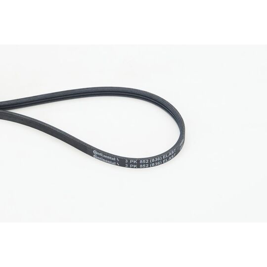 V-Ribbed Belt
