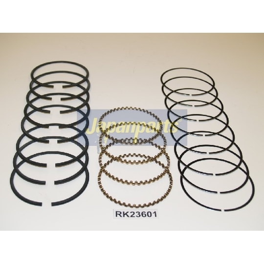 Piston Ring