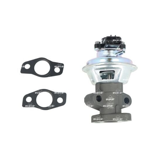 EGR Valve