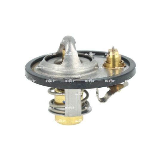 725532 - Thermostat, coolant 