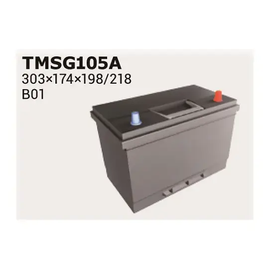 Starter Battery