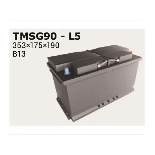 Starter Battery