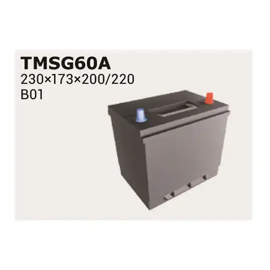 Starter Battery