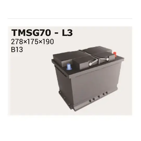 Starter Battery